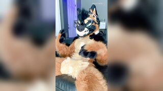 TORRID FURSUIT MASTURBATE OFF & MONEY-SHOT