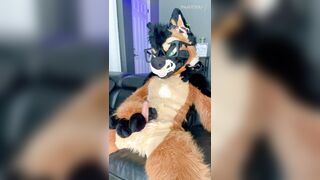 TORRID FURSUIT MASTURBATE OFF & MONEY-SHOT