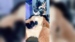 TORRID FURSUIT MASTURBATE OFF & MONEY-SHOT