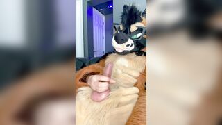 TORRID FURSUIT MASTURBATE OFF & MONEY-SHOT