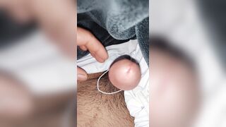 solo stud in blanket morning time