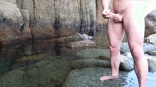 Scenic Ocean jack