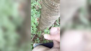 Cockslapping the tree and jizm in the forest