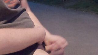 Evening fap off in the park