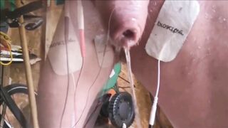 BASTARD PRECUM EXTRACTION PROMO TWEAK