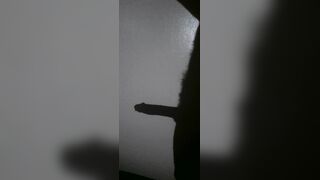 My Phat Ebony Stiff Bone Shadow On the Wall