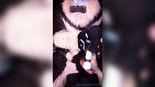 Hyena fursuiter and the magic want