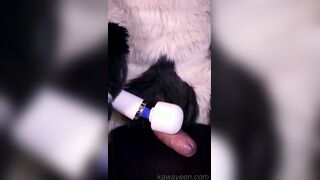 Hyena fursuiter and the magic want