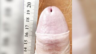 7.87 inches tidy length of my acquaintance, 20 cm