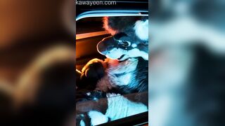Hyena fursuiter wanks off in acquaintances camper