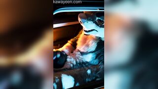 Hyena fursuiter wanks off in acquaintances camper