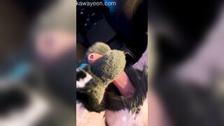 Hyena fursuiter wanks off in acquaintances camper