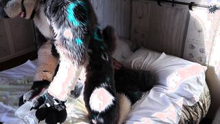 Hyena fursuiter pounds inflatable fucktoy