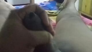 Coumps guy mitt gonzo
