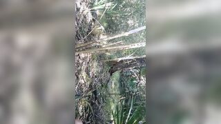 Fapping off in a park