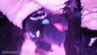 Hyena fursuiter masturbates of in total suit