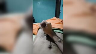 Lechita