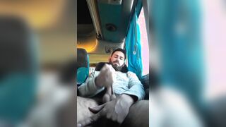 Pig finishes off on the bus