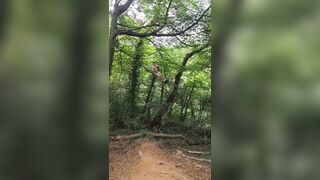 Bare in the forest