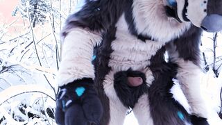 Hyena fursuiter in the snow outdoor porno