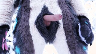 Hyena fursuiter in the snow outdoor porno