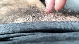 Public Van Jack-Off Wooly Cub