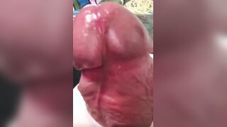 Sizzling Mexican Jock Deep Faux-cock Arse Have fun & Strenuous Humungous Pop-shot 4K