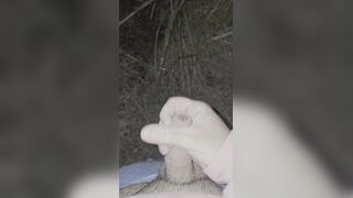 Nutting in the forest at Night