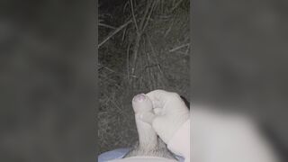 Nutting in the forest at Night