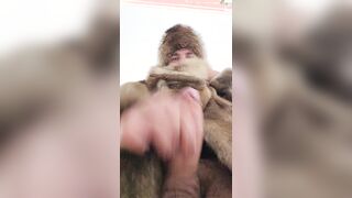 Wool adorn spunk