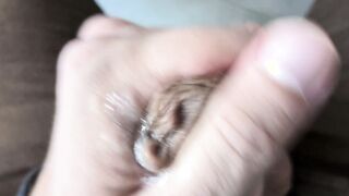 Extraordinary Pre-Jism Have fun & Moist Penis head Draining  Stringy Grubby Solo Getting off  Powerful Close-up Popshot