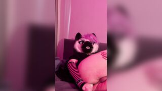 Queer kitten have fun