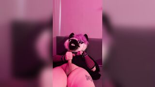 Queer kitten have fun