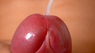 Fabulous Shaft in Close Up /// Jordan Hornier