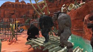 Dual Intrusion 1 3 DIMENSIONAL