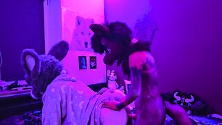 this servant unshaved bunny mega-slut is getting pegged by a fur covered cub so he knows his place