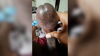 Monstrous head trouser snake exhibe