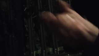 Been ambling home got a rod