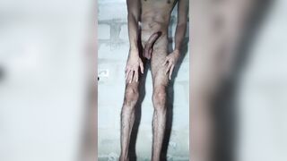 A super-cute onanism in my guest room