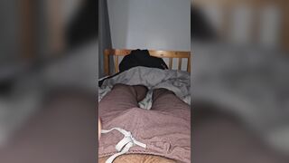 Is this the tiniest beefstick?