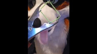 Elastrator Have fun with @AngryBarks Superb Men Get Neutered!