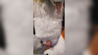 Elastrator Have fun with @AngryBarks Superb Men Get Neutered!