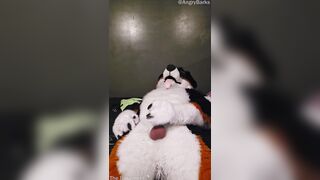 Elastrator Have fun with @AngryBarks Superb Men Get Neutered!