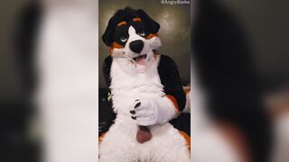 Elastrator Have fun with @AngryBarks Superb Men Get Neutered!