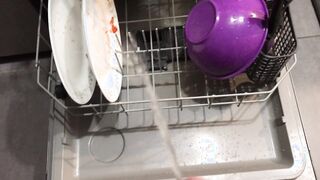 Intensity Urinating all over the dishes in the dishwasher