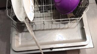 Intensity Urinating all over the dishes in the dishwasher