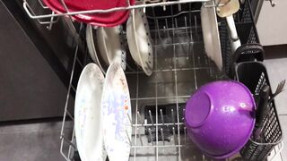 Intensity Urinating all over the dishes in the dishwasher