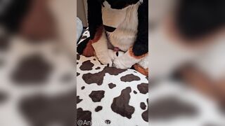 Elastrator Have fun w/ @Angrybarks