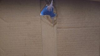 This Glory Heterosexual Verge Crevice Point Of Beef whistle Cell Hanging Close Up Trunk Youngster Shorties