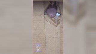 This Glory Heterosexual Verge Crevice Point Of Beef whistle Cell Hanging Close Up Trunk Youngster Shorties